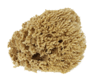 Natural Sponge